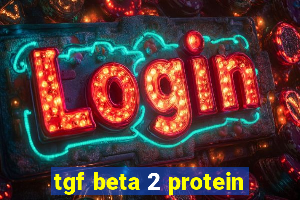 tgf beta 2 protein